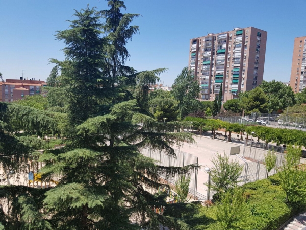 SANJOSE will carry out the execution of works associated with the competences of the General Directorate of Water Management and Green Zones of Madrid (Lot 2)