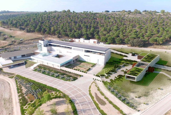SANJOSE ampliar� AALTO Bodegas en Quintanilla de On�simo, Valladolid